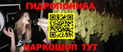 СК Ангарск