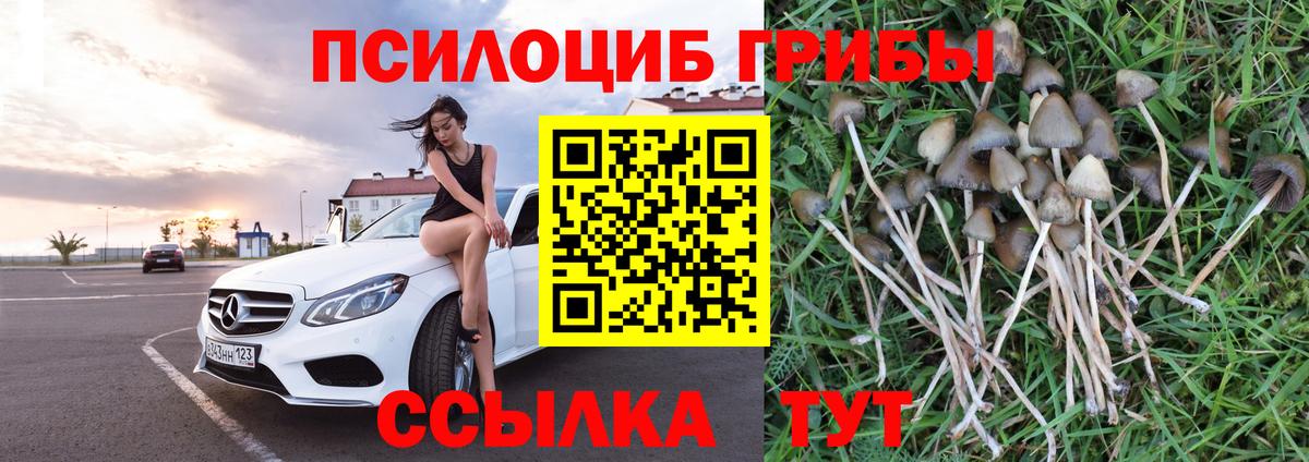 Галлюциногенные грибы ЛСД Прохладный